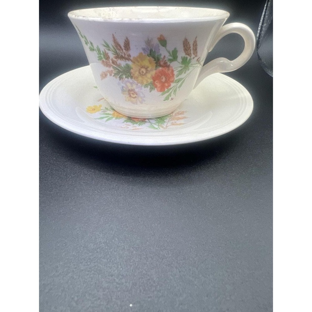 Vintage Edwin M. Knowles Semi Vitreous China Floral Teacup and Saucer
